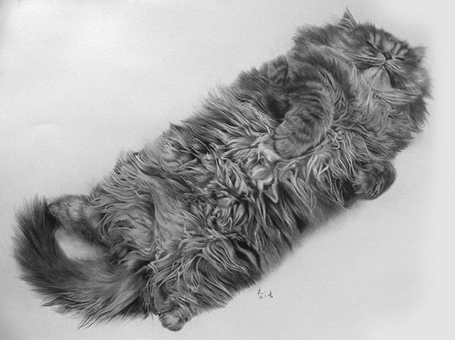 Рисунки кошек карандашом