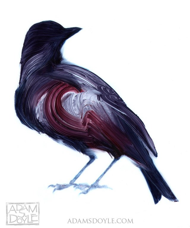 Рисунки птиц